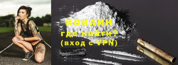 трава Сясьстрой